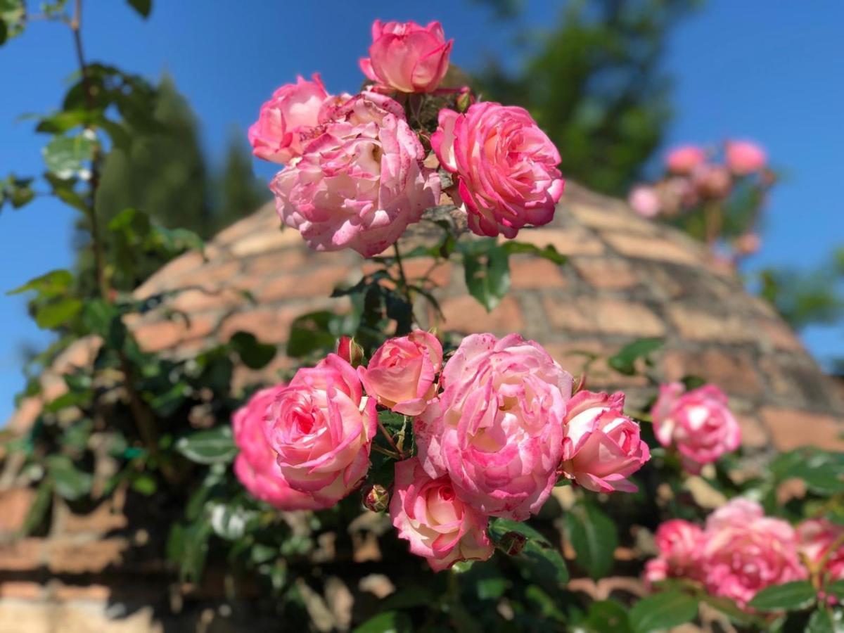 Agriturismo Casale Giulia Вольтерра Экстерьер фото